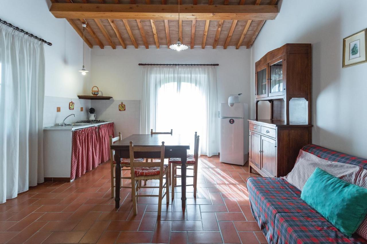 Cottage Il Gabbro Montescudaio Luaran gambar